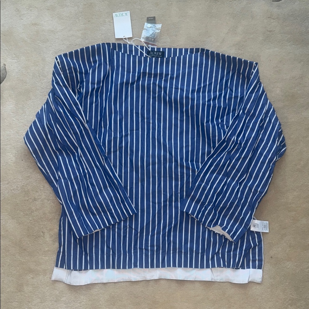 J. Crew Blue and White Vertical-Striped Long Sleeve Shirt
